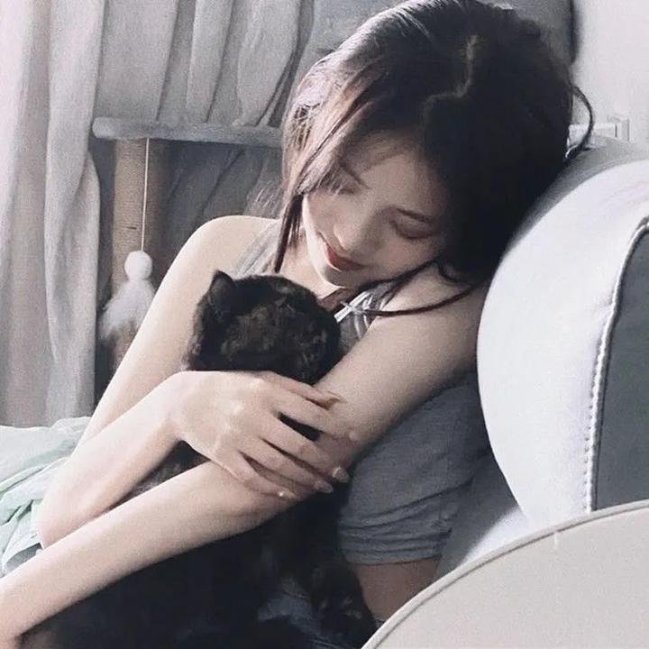 非枪人生第二季